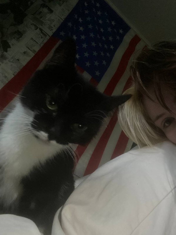 [so silly](https://pin.it/28lmIMHRx)