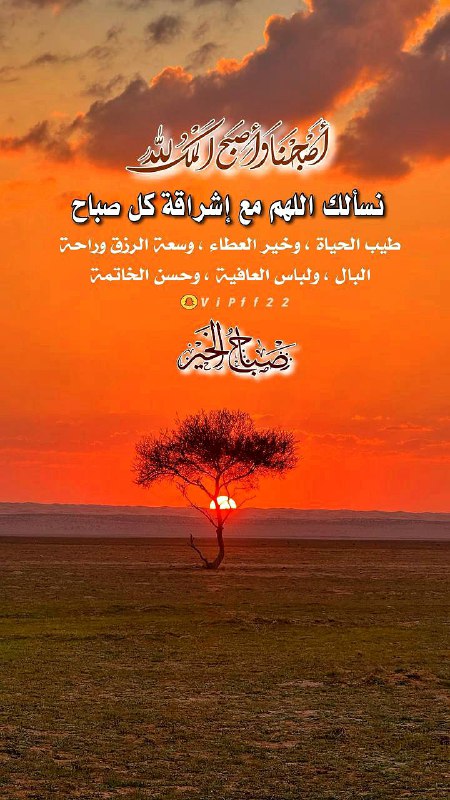 مهما جمعت من الدنيا، وحققت من