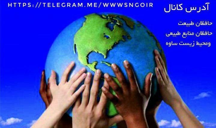 لینک کانال حافظان طبیعت حافظان منابع …
