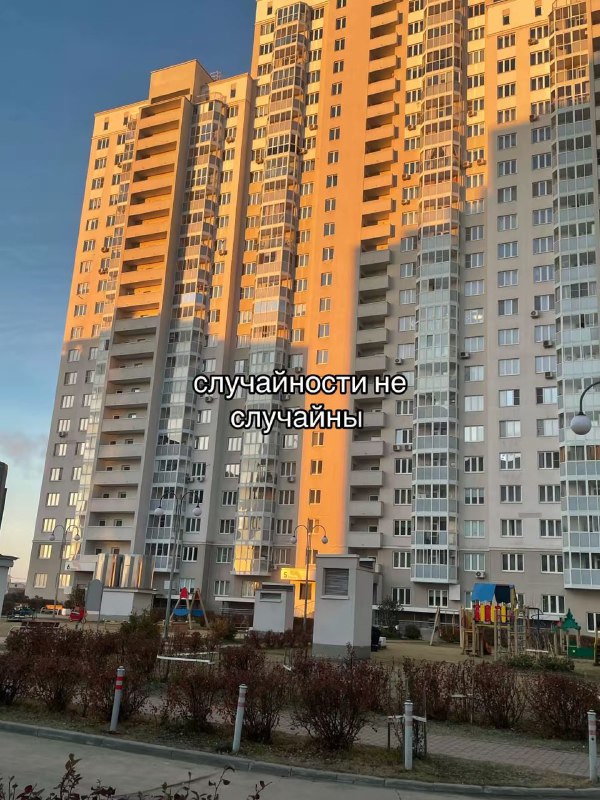 ШПРООООТ!!! 🚨🐙