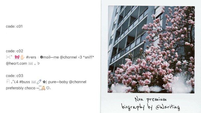 (***🪽******📧***) ＊・゜[Biography Non premium Cute] fresh …