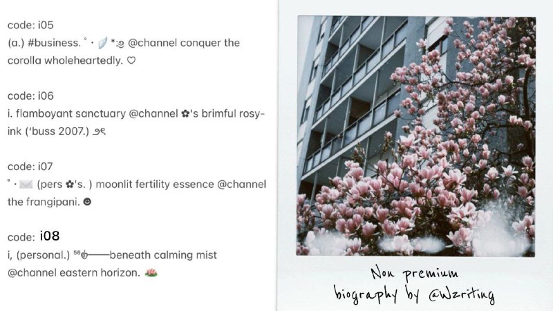 (***🪽******📧***) ＊・゜[Biography Non premium] fresh artifacts …