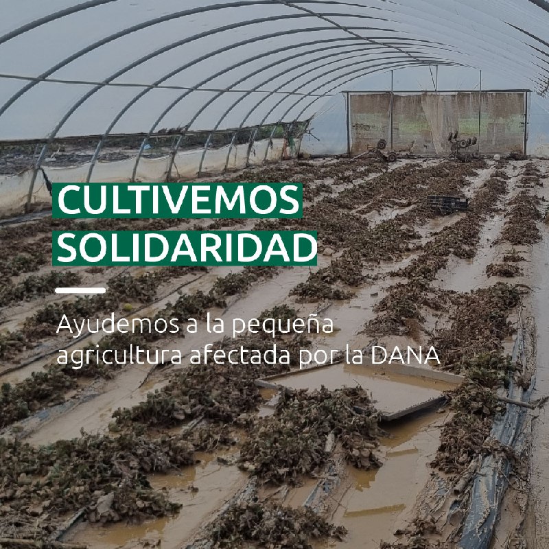 *****👩‍🌾*** Lanzamos la campaña** [**#CultivemosSolidaridad**](?q=%23CultivemosSolidaridad) **por …