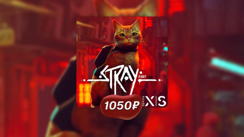 ***☄️******Stray* - 1050 ₽**