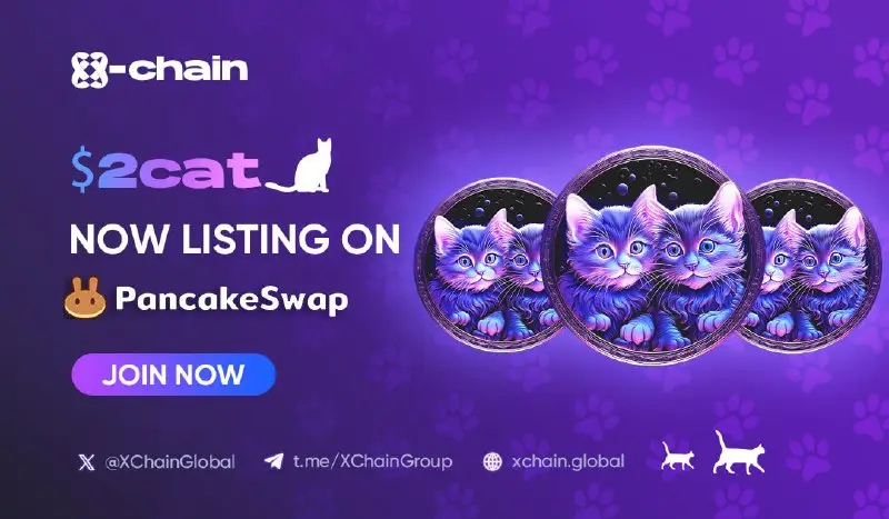 *****🚀***$2cat is now LIVE on PancakeSwap!**