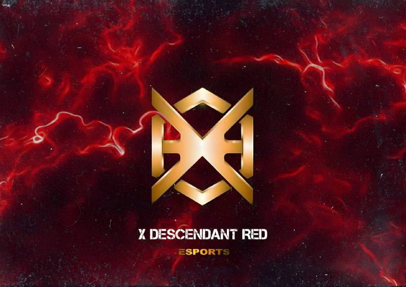 ***🔵*****X DESCENDANT RED PRO SCRIM** ***🔵***