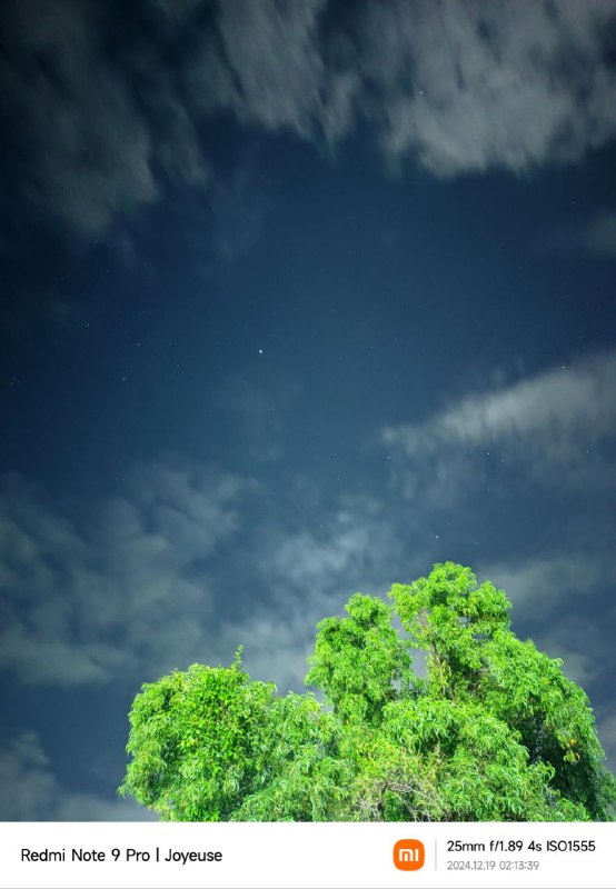 "Hanya Sebuah Malam Hari."