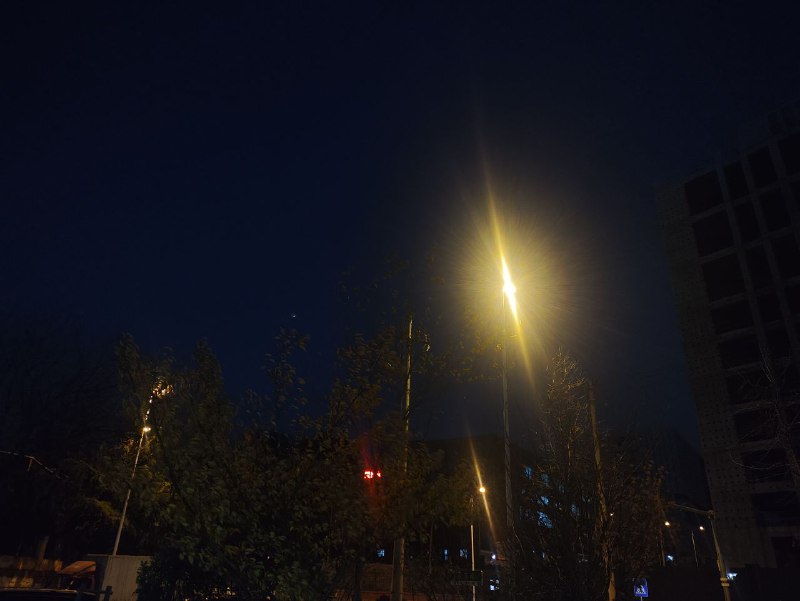 春风若有怜花意,可否许我再少年