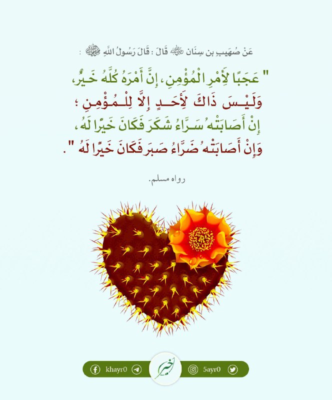 ‏﴿ إِنْ أُُرِيد إِلّا الإِصْلَاح مَا …