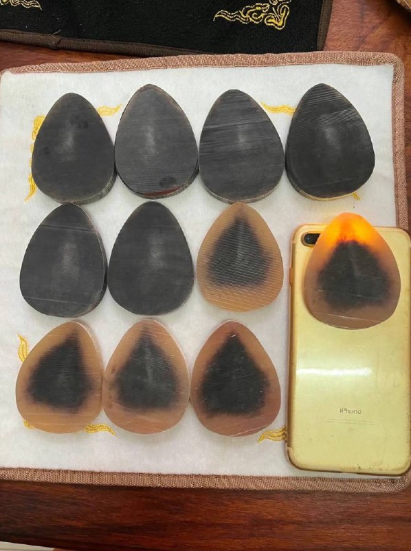 稀缺?文玩?宠物?店