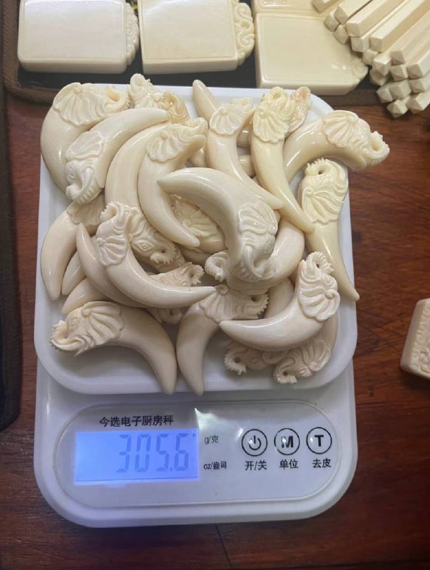 稀缺?文玩?宠物?店