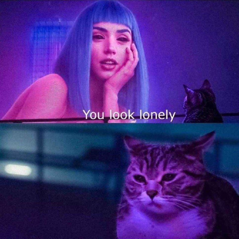 memes for an alcoholic dystopia +18