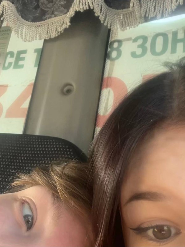 львы!!***🥺******🤩***