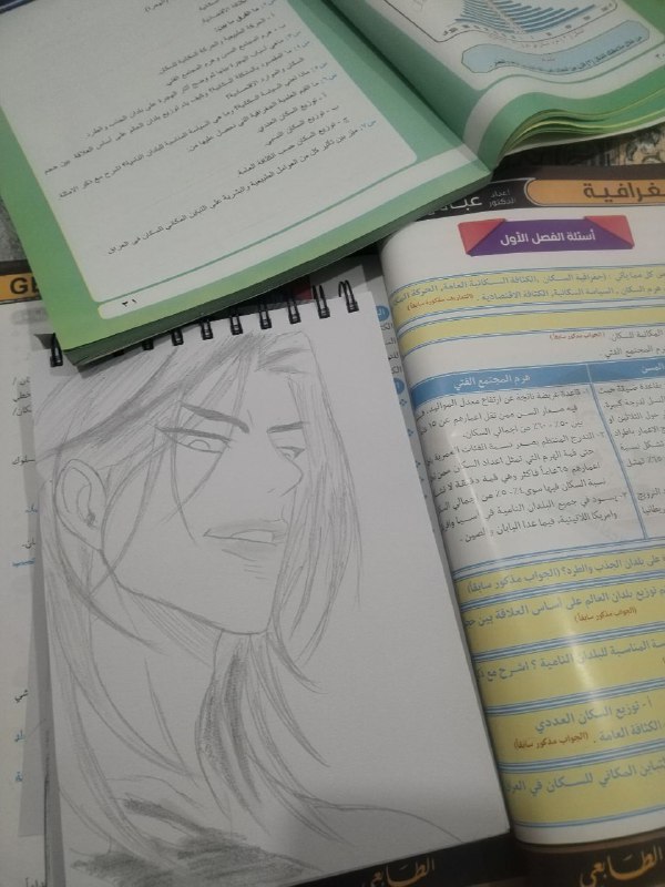 عالم الفن °.○