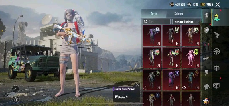 XiaoZhi skin number