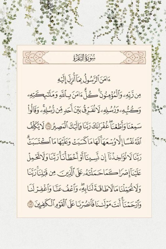˚قافلة النجاة ˚❥