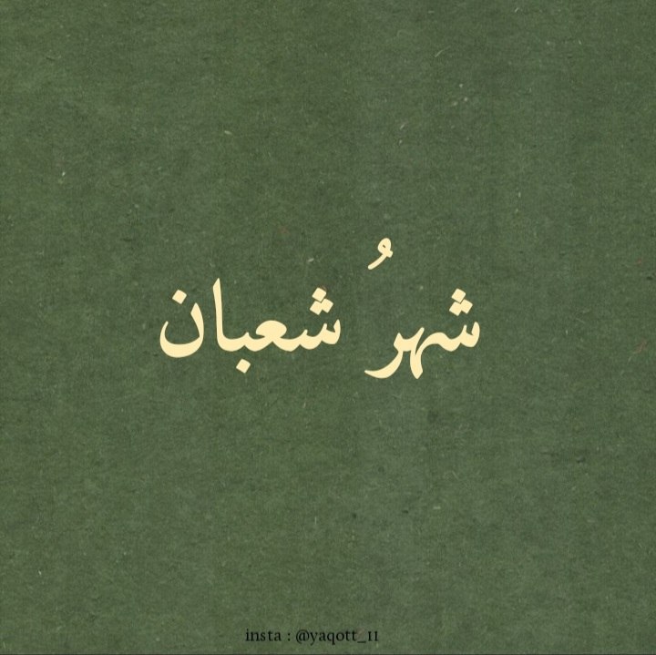 الياقوت والمُرجان 💛☁️