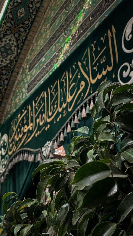 روح نرجس 💚✨