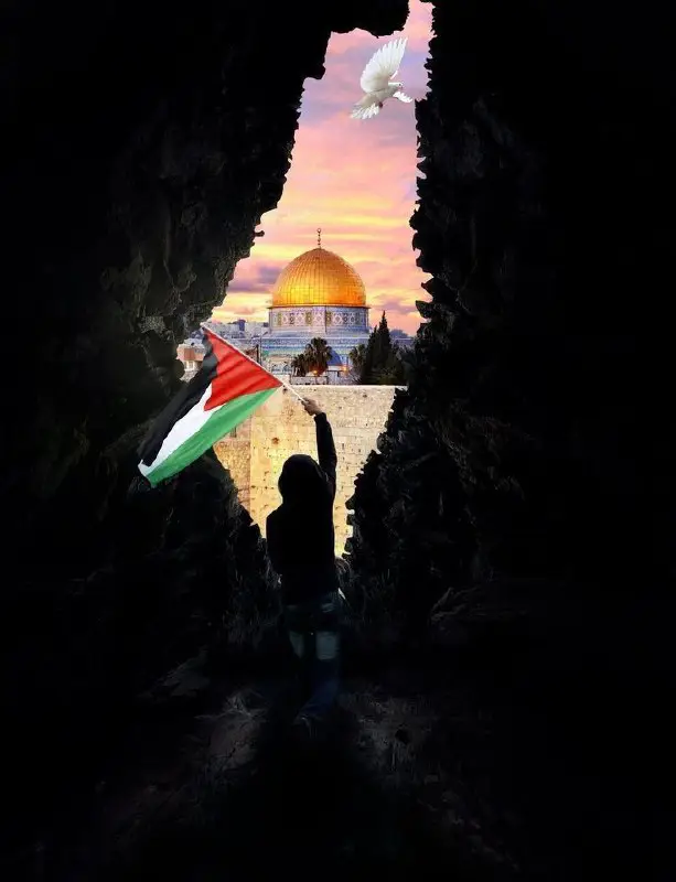 القدس لنا! كل فلسطين لنا!