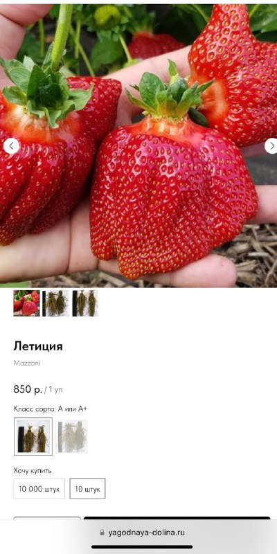 Распродажа