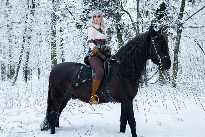 The Witcher 3: Lady of the …