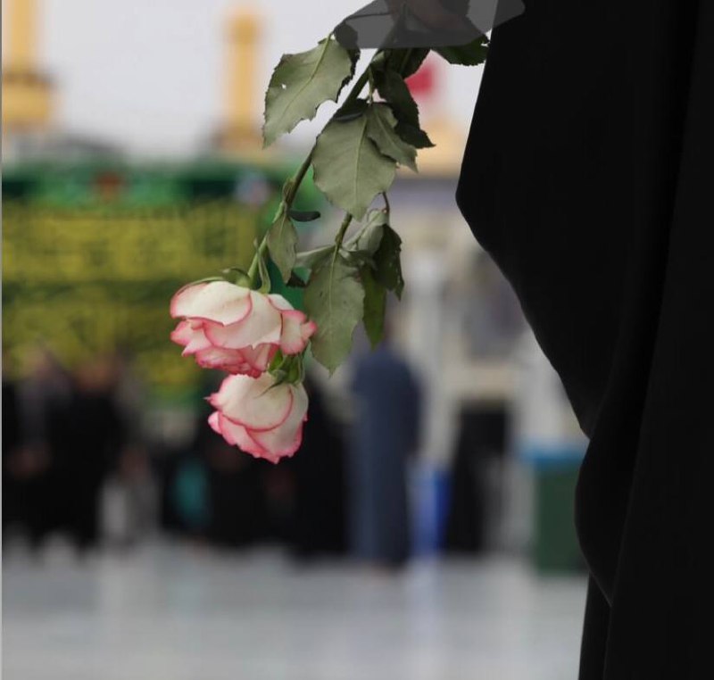 زَينب وأسِمهّا مِن العَرش مُتنزِلة حرُوفهُ