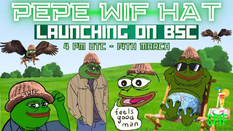 ***🏃‍♂️******💳***PEPE IS BACK AND WIF HAT