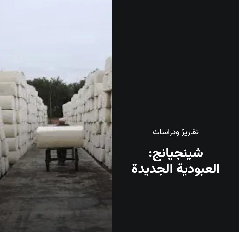 **مجلة يقظة :
