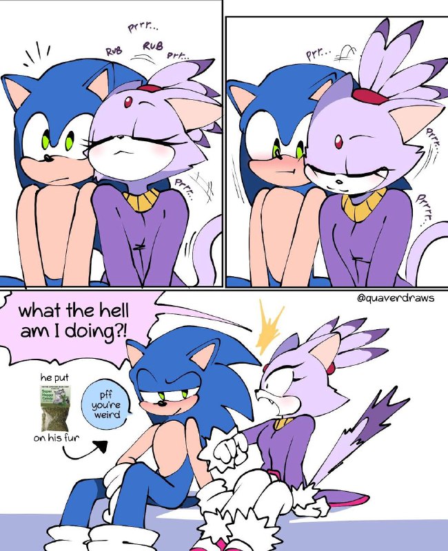 s h y a y a