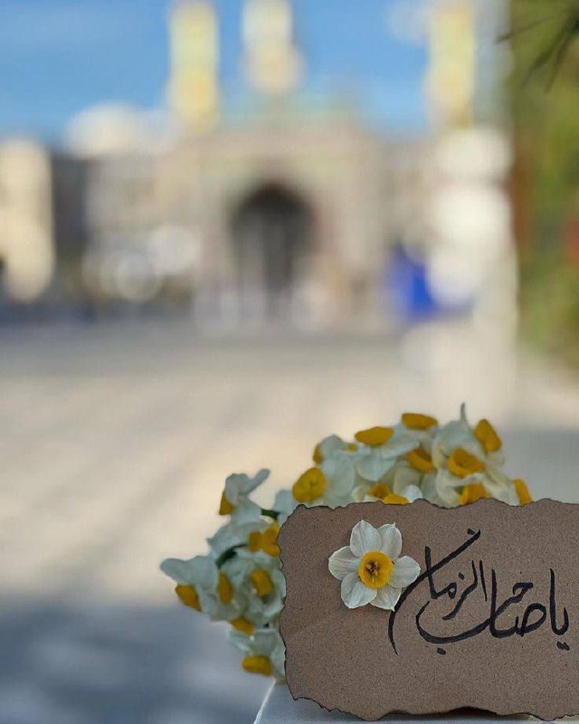 يــآنــوٌر آلَمــهّتــدوٌن