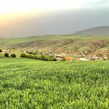 شنیدم که از امروز قراره روزی …