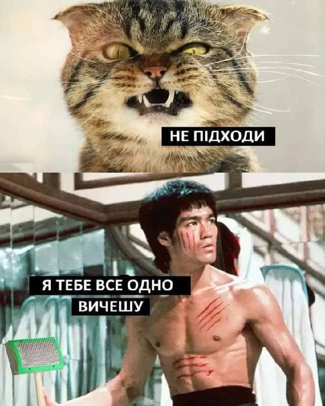 Ярік, бачок потік!🙀