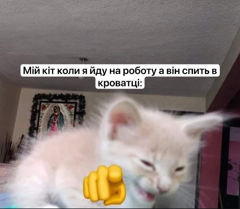 Ярік, бачок потік!🙀