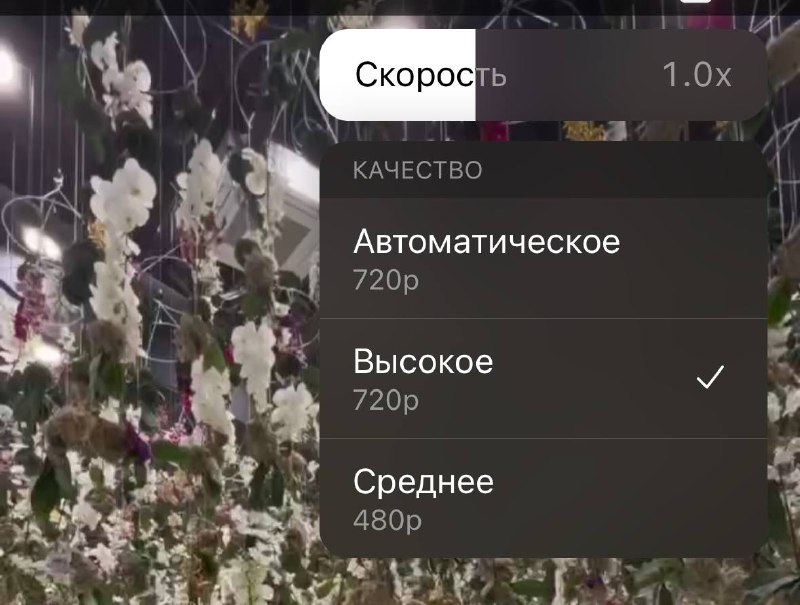 Теперь можно выбирать качество просмотра видео …