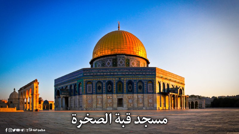 یاسر بختیار