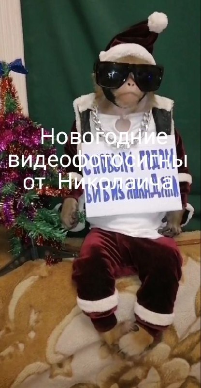 Заказать тут [@Yasha\_lazarevskiofficial](https://t.me/Yasha_lazarevskiofficial)