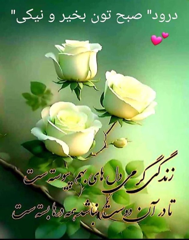 دلنوشته های یاس سفید