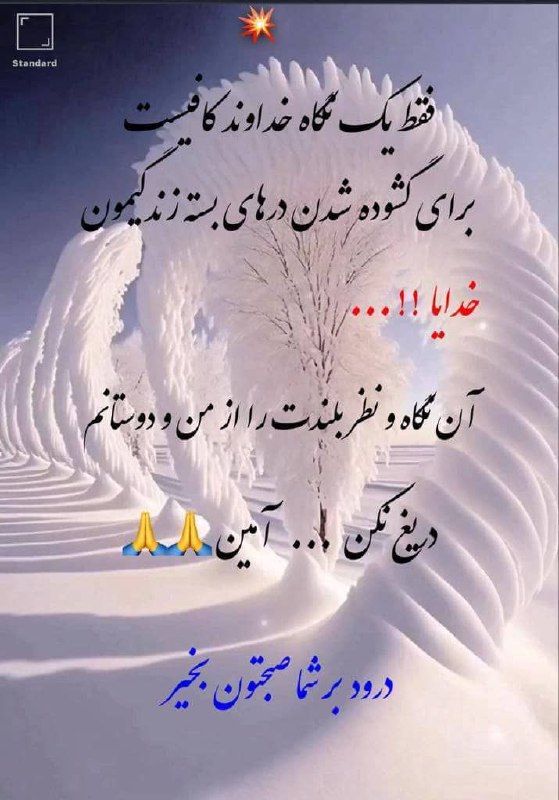 دلنوشته های یاس سفید