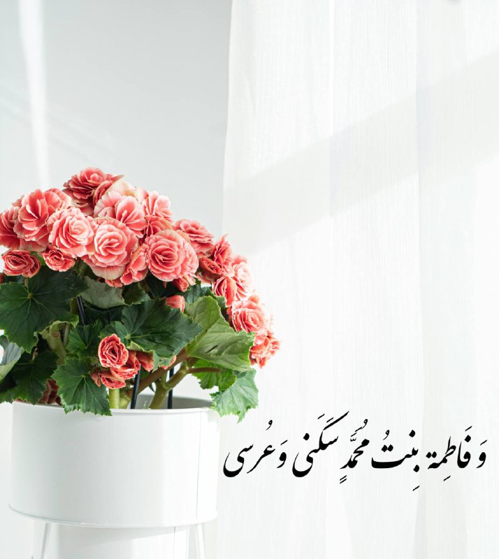 مِن الفضائل التي يَتَفاخر بها أمير …