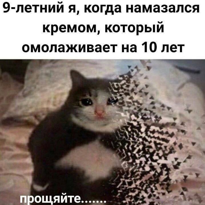 Яйца