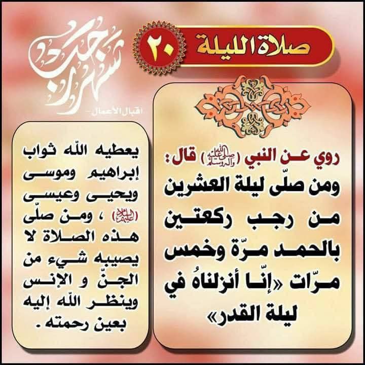 أحَفاد المَهدي«ع»