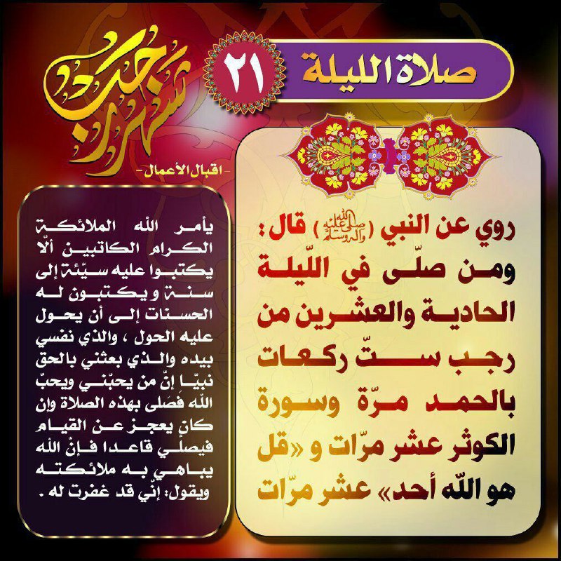 أحَفاد المَهدي«ع»