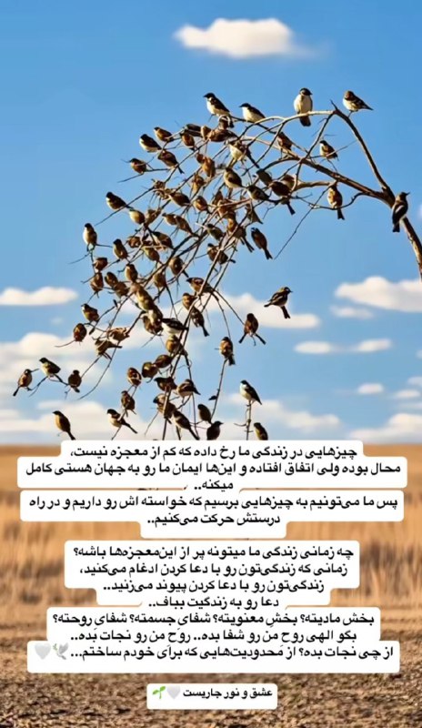 ⊰⊹✿ یک فنجان آرامش ✿⊹⊱
