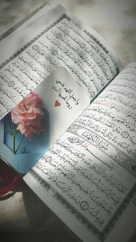 يحيى حامد