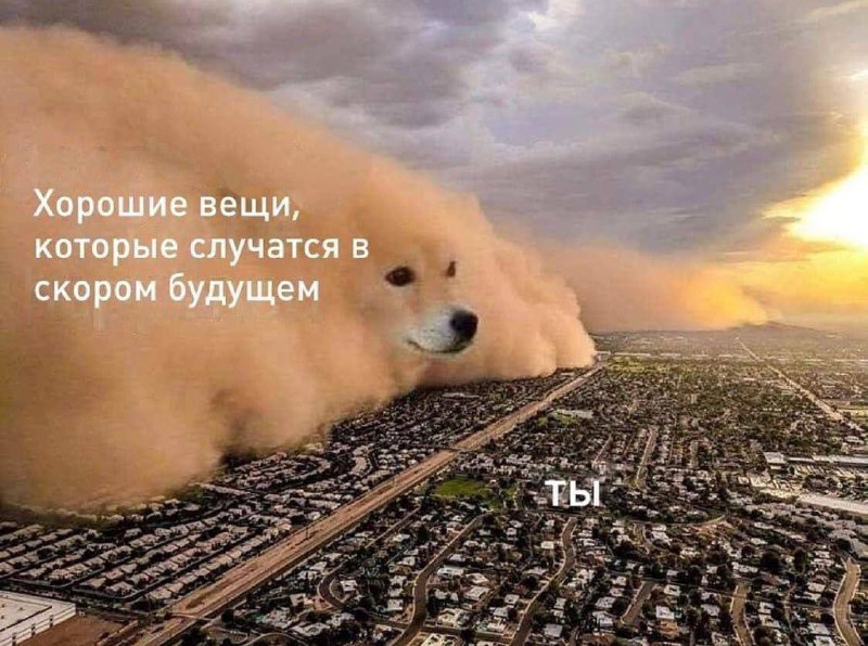 **Августовский апдейт** ***🥴***