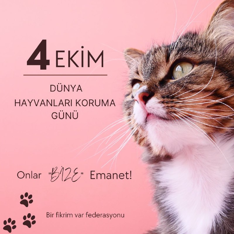 *Bugün 4 Ekim, Dünya Hayvanları Koruma …