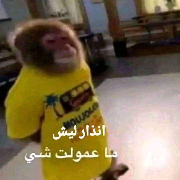 هي مبسوطة من كلامكم سوا