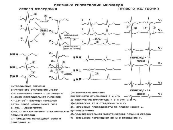 Сам себе доктор