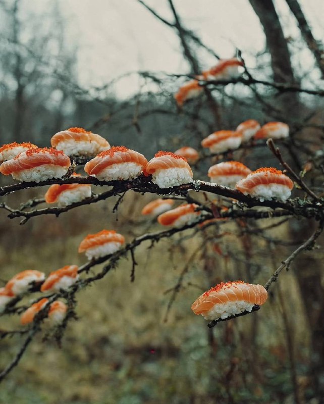 ЁбиДоёби🍣 Секретные промокоды 🤫