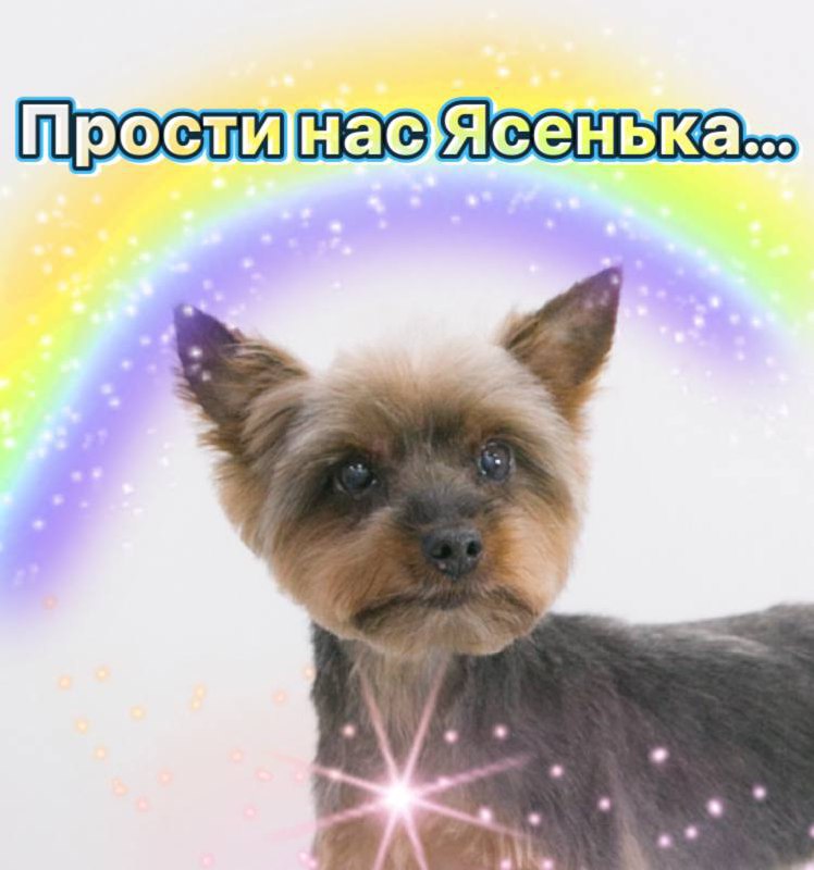 *****🌈*** К сожалению у нас печальные …